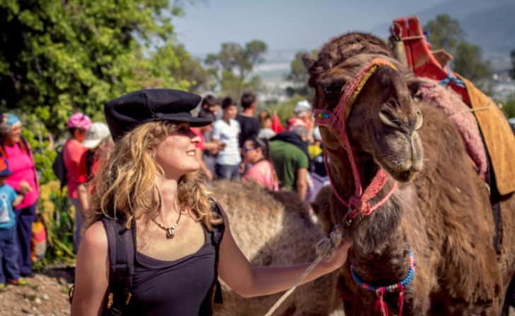 In the Footsteps of the Nomadic Walk - Journal of Nomads