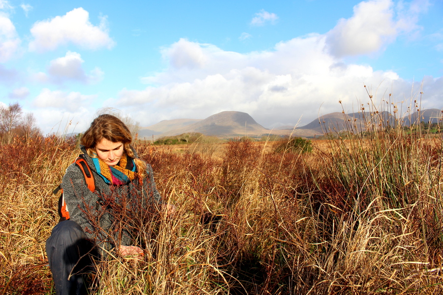 How to Make Money While Traveling the World including the 12 Best Travel Jobs 3 Farm work in Ireland - Travel and Make Money - Travel Jobs - Journal of Nomads