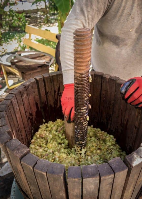 Oh Georgia, sweet mother of wine! 15 Georgia, mother of wine - - Georgian wine - homemade method - Journal of Nomads