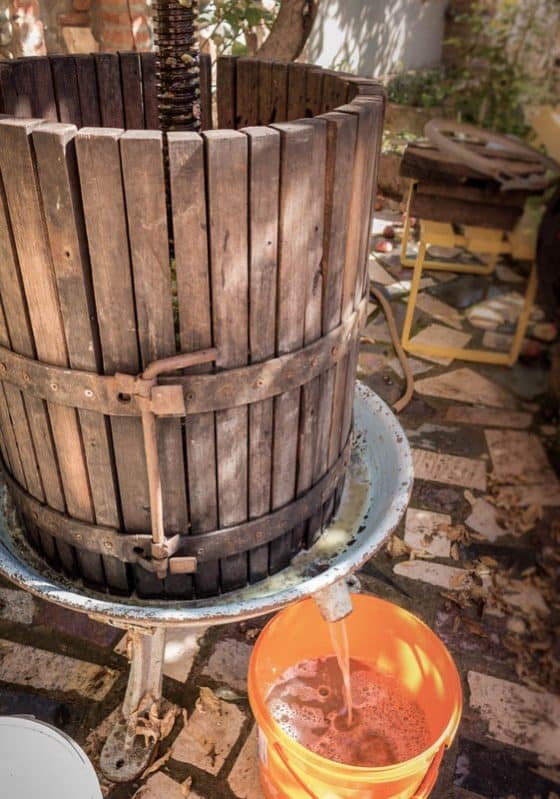 Oh Georgia, sweet mother of wine! 16 Georgia, mother of wine - Georgian wine - homemade method - Journal of Nomads