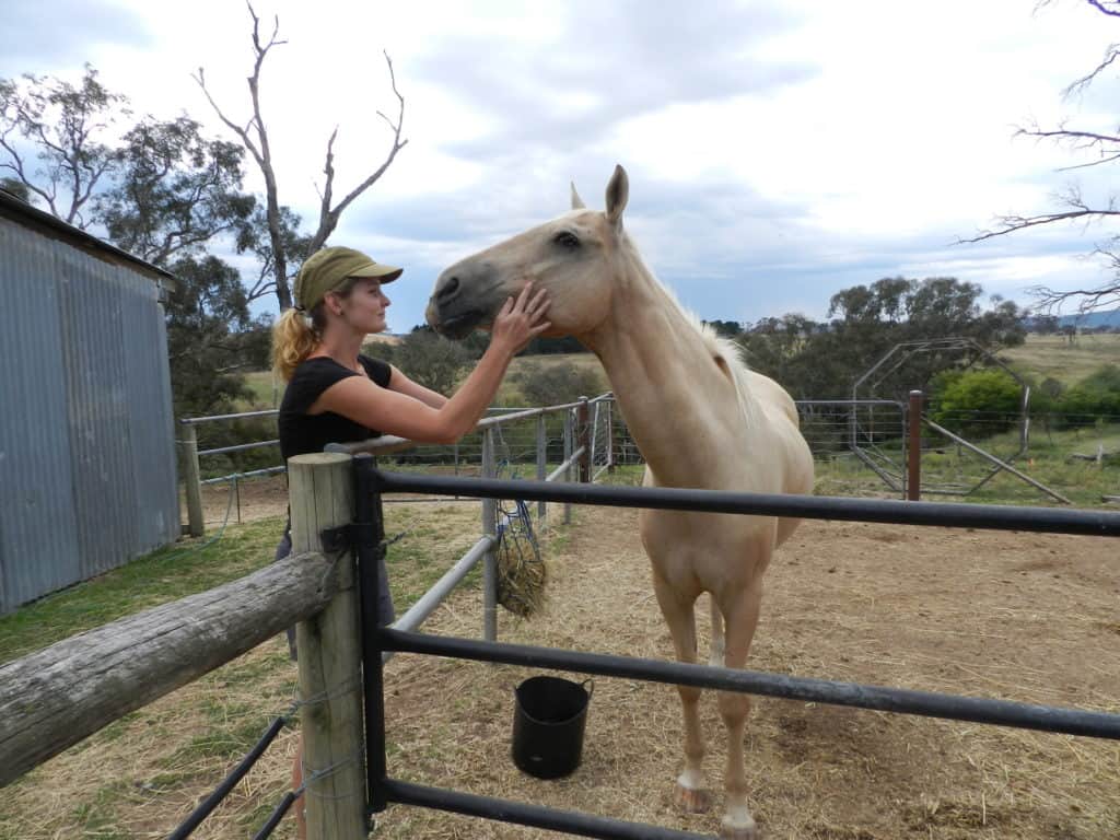 4 Realistic and Best Ways to Find Free Accommodation for Travellers 12 How to volunteer abroad for free - Journal of Nomads - horse farm - Australia