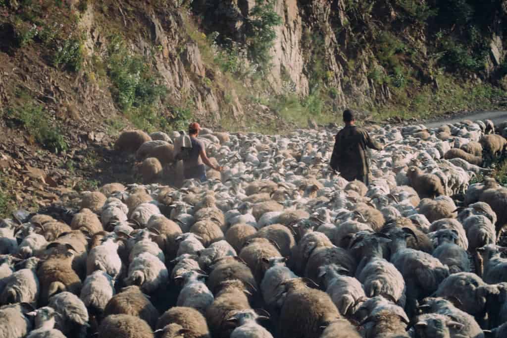 How to visit Tusheti National Park, Georgia's most beautiful and remote region 28 Tusheti - Omalo โ one of Georgia's most beautiful and fascinating regions - Journal of Nomads