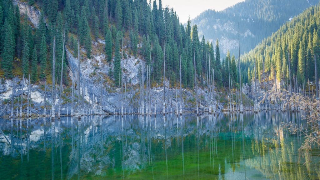 Lake Kaindy - Travel Guide to Kolsai Lakes and Kaindy Lake - Kaindy Lake - sunken forest - Journal of Nomads