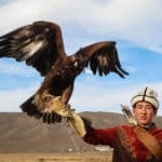 Why Visit Kyrgyzstan: 12 Reasons why I fell in love with this special country in Central Asia 43 Why Visit Kyrgyzstan: 12 Reasons why I fell in love with this special country in Central Asia