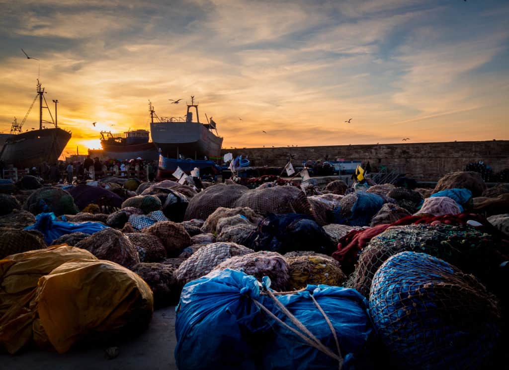14 Best Things to do in Essaouira Morocco, the Complete Guide to Morocco's windy city 9 Things to see and do in Essaouira โ The complete guide to Morocco's windy city - Essouira port - Journal of Nomads