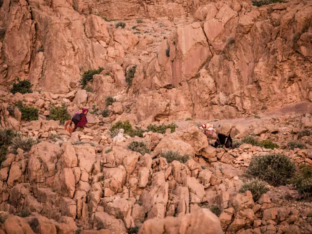 Rock climbing and other fun things to do in the Todra Gorges and Tinerhir 10 Rock climbing and other fun things to do in the Todra Gorges and Tinerhir