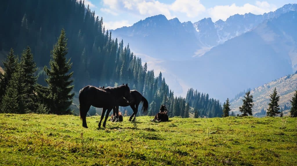 The 25 most beautiful and best places to visit in Kyrgyzstan in 2026 61 The 25 most beautiful and best places to visit in Kyrgyzstan in 2026