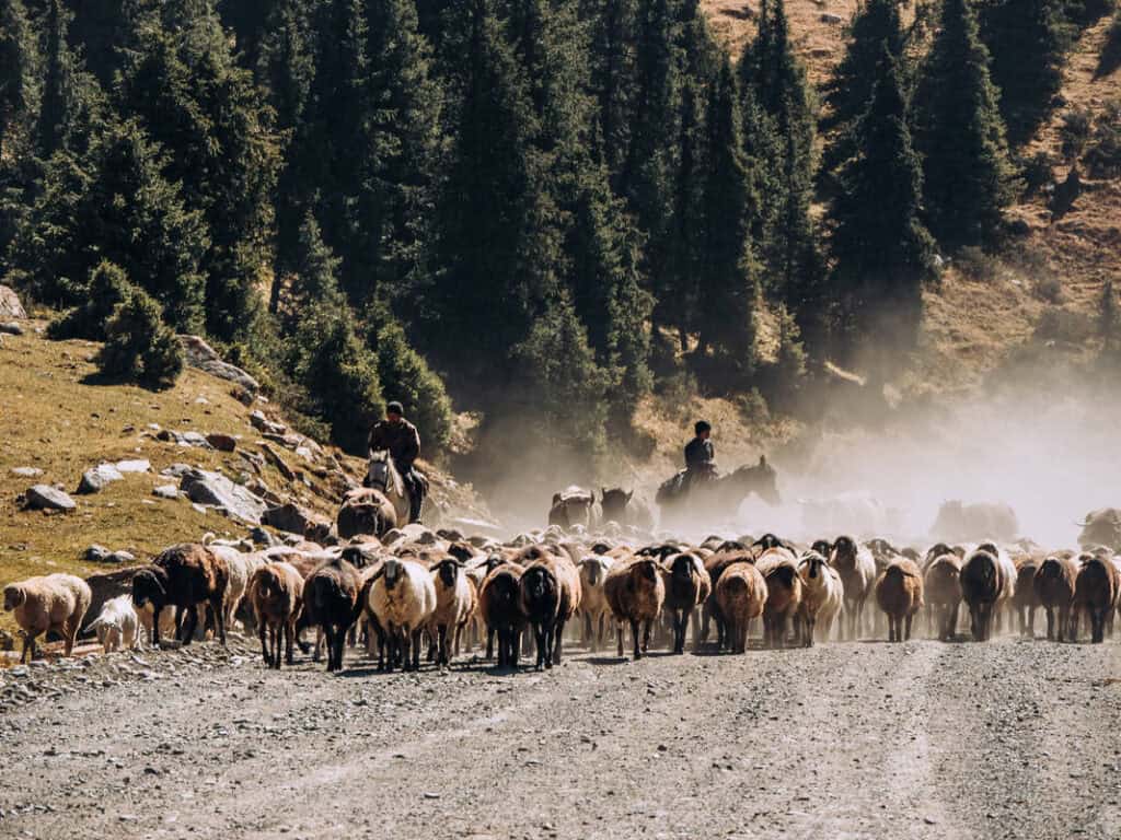 Why Visit Kyrgyzstan: 12 Reasons why I fell in love with this special country in Central Asia 8 Why Visit Kyrgyzstan: 12 Reasons why I fell in love with this special country in Central Asia