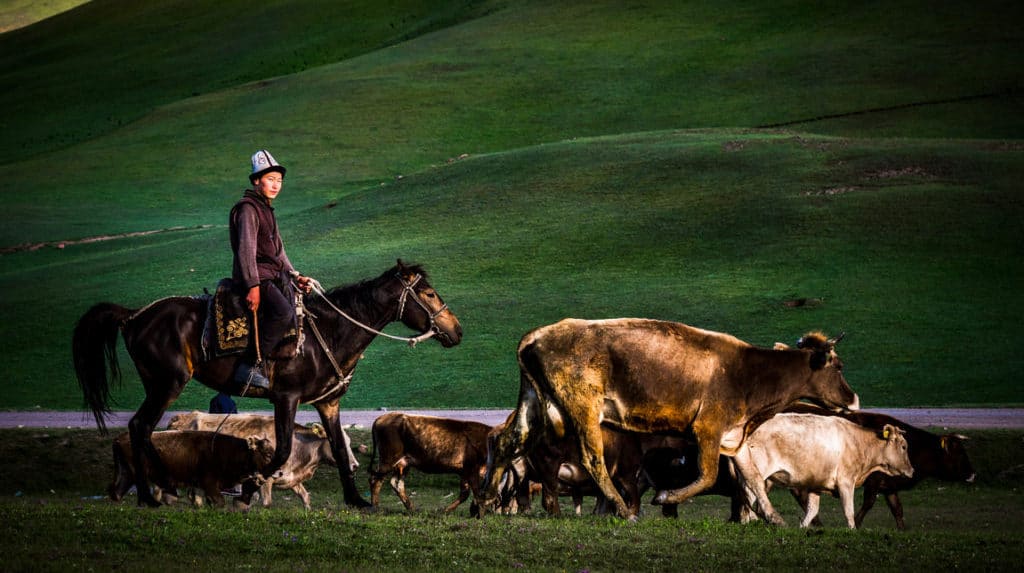 Hike Independently to Song Kul Lake in Kyrgyzstan with these 2 Great Itineraries 9 Reasons why you should visit Kyrgyzstan - Journal of Nomads