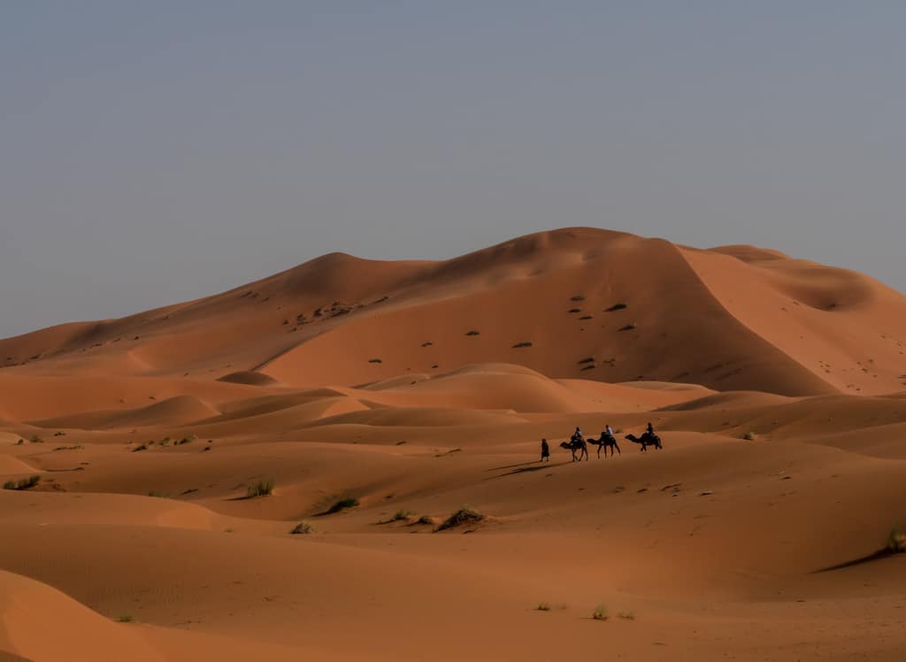 Sahara desert Merzouga Morocco - Journal of Nomads