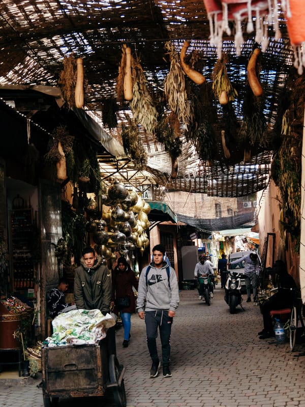 markets of the old city Marrakesh - Morocco - journal of nomads