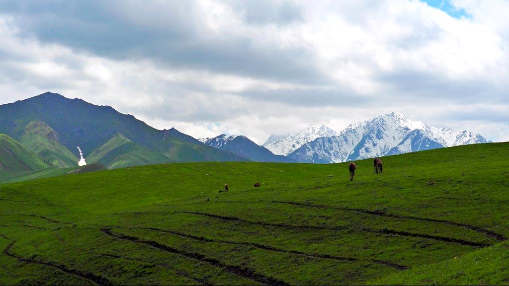 Hiking near Osh in Kyrgyzstan - Be a Nomad Hike 5 Trekking in Kyrgyzstan - mountains of central asia -horses grazing Kyrgyzstan - Journal of nomads
