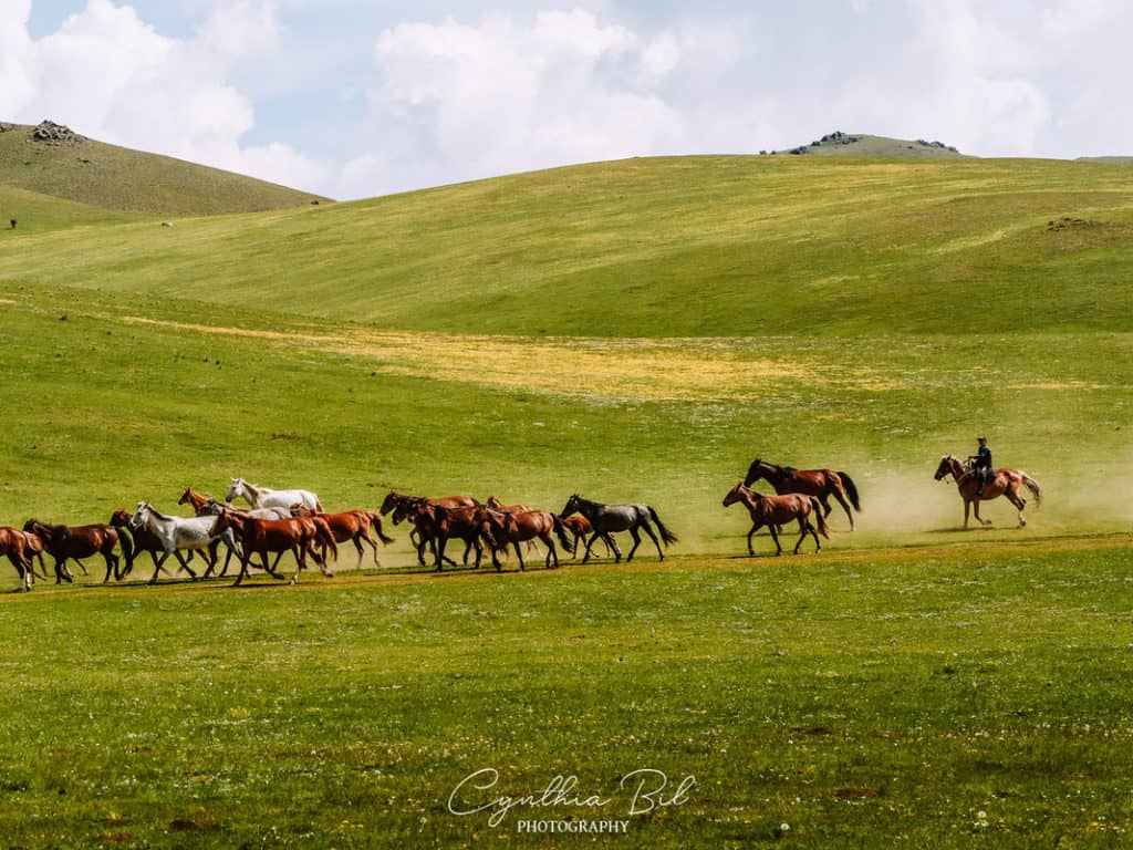 Why Visit Kyrgyzstan: 12 Reasons why I fell in love with this special country in Central Asia 10 Best things to do in Kyrgyzstan - Stay with the nomadic shepherds