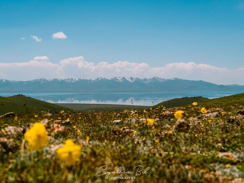 Hike Independently to Song Kul Lake in Kyrgyzstan with these 2 Great Itineraries 3 The best time to visit Kyrgyzstan - Kyrgyzstan in spring - Song Kul Lake - hiking to Song Kul Lake independently - Journal of Nomads
