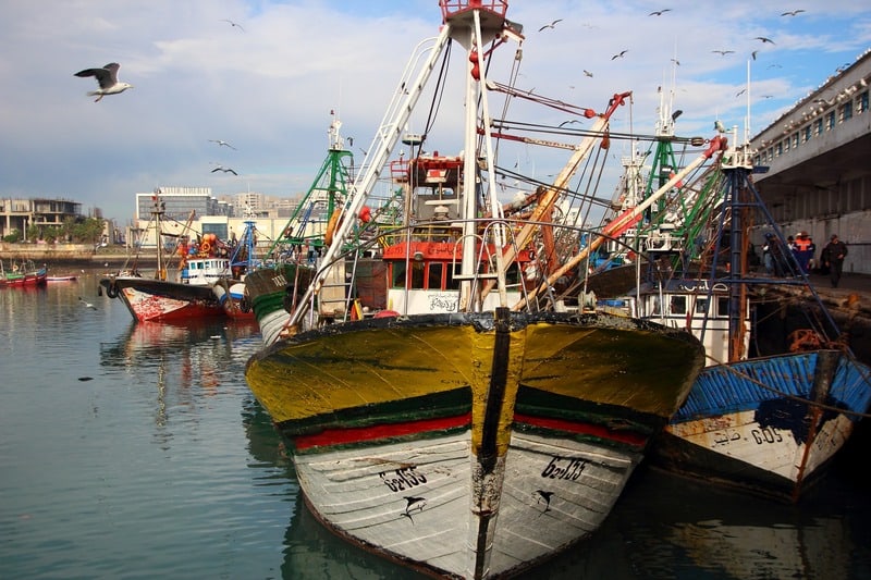 What are the 9 Best Things To Do in Casablanca Morocco? Casablanca City Guide