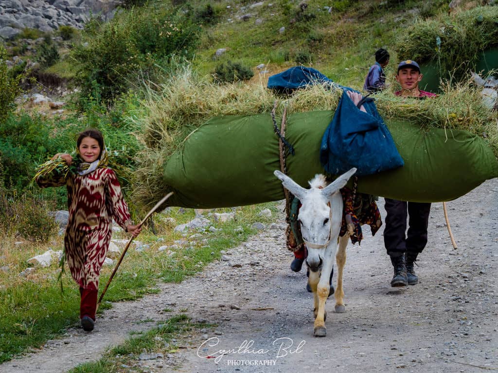 The Complete Guide to the Fann Mountains in Tajikistan 16 Shepherd families in Fann Mountains Tajikistan - Journal of Nomads