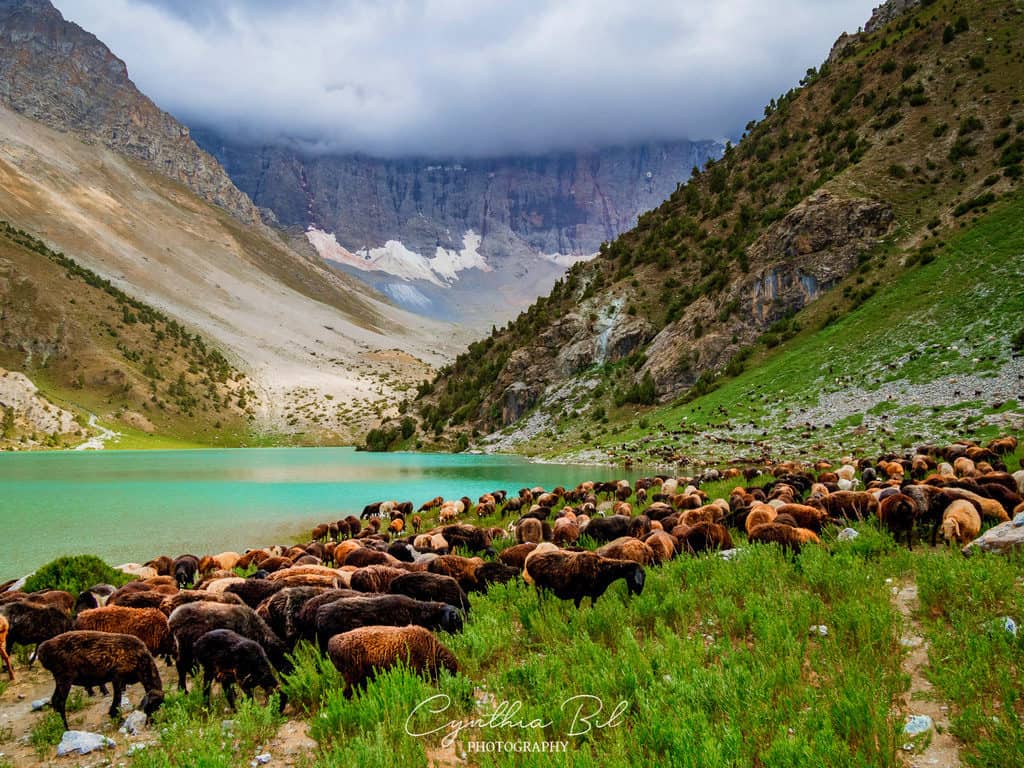 17-day Highlights of Tajikistan Tour: Fann Mountains and Pamir Highway Tour 17 17-day Highlights of Tajikistan Tour: Fann Mountains and Pamir Highway Tour