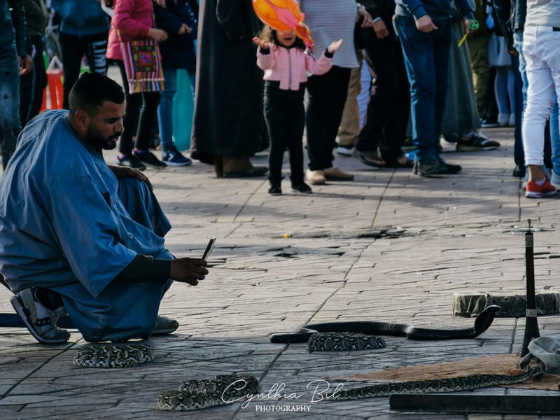 Marrakech snake charmer - square Jemaa el Fna