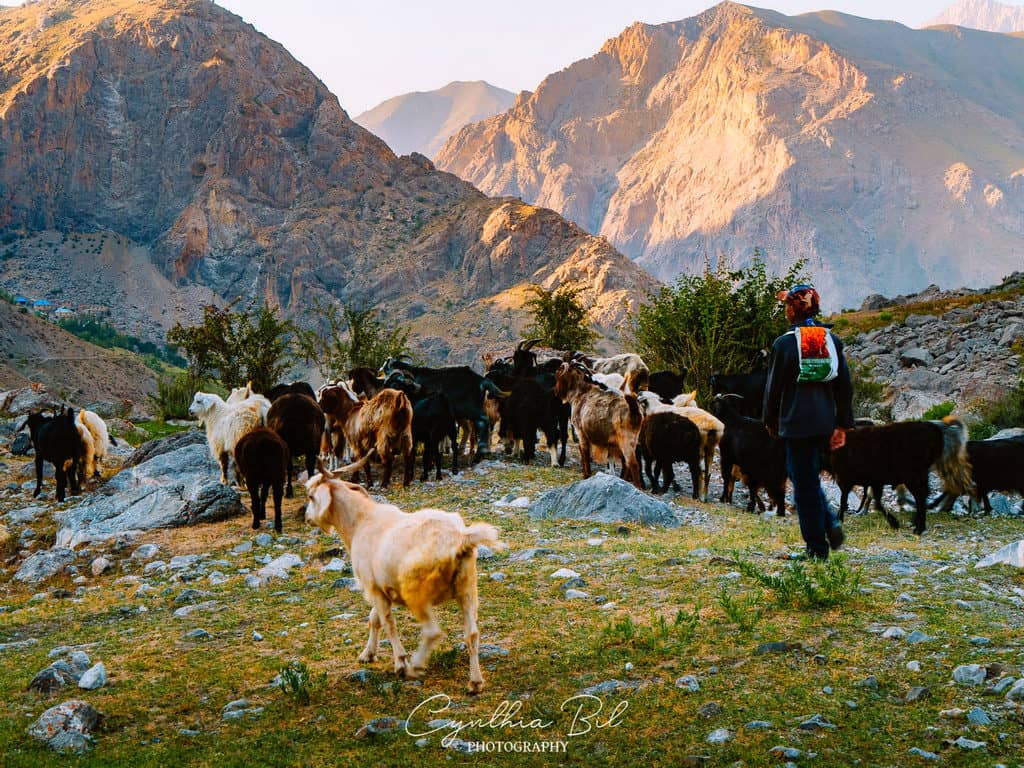 The Complete Guide to the Fann Mountains in Tajikistan 19 Shepherds in Fann Mountains Tajikistan