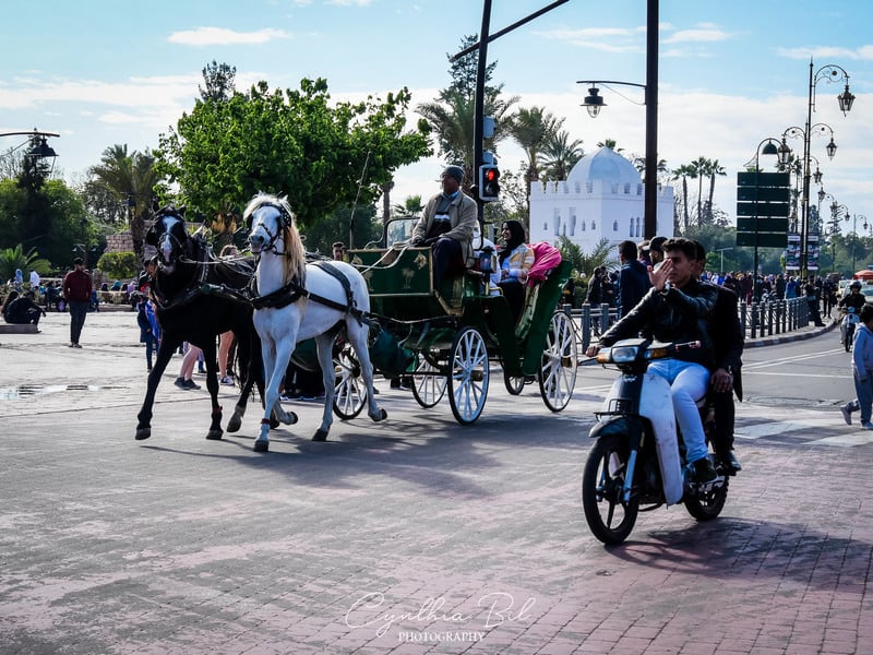 horse carriage Marrakech