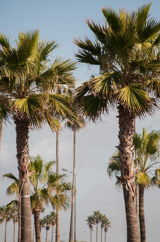 where to stay in Casablanca?
