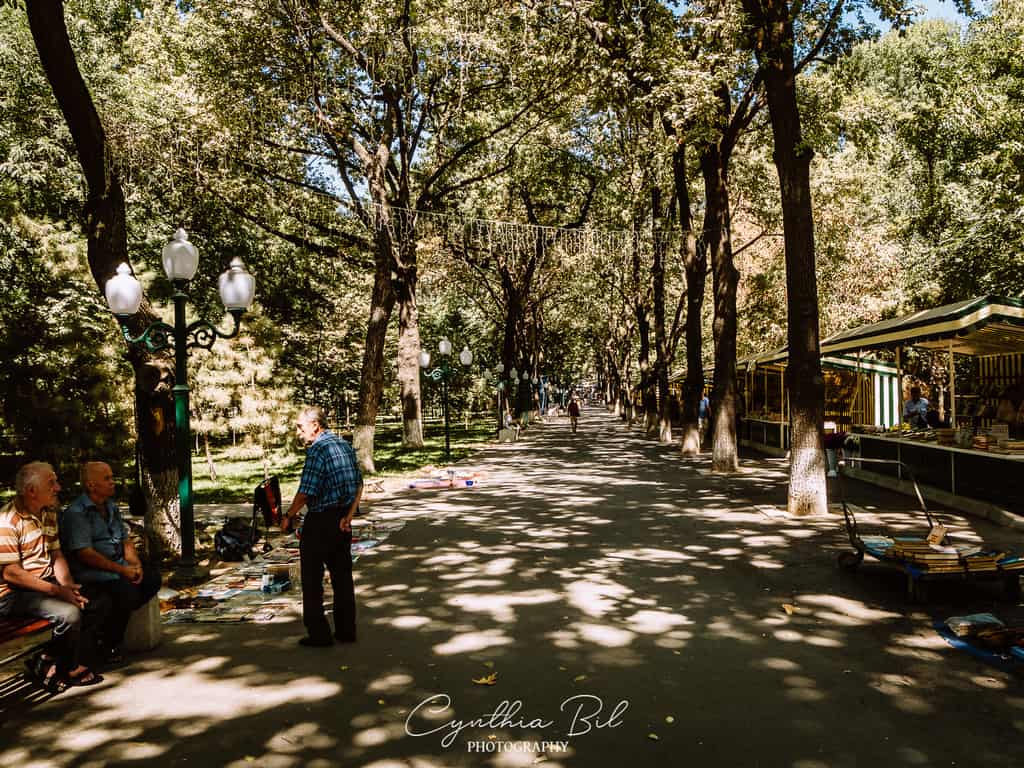 Things to do in Tashkent - Book Bazaar Tashkent