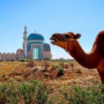 How to visit Turkistan Kazakhstan's spiritual and historical center 3 Complete Guide to Travel in Kazakhstan - 18 things you need to visit Kazakhstan - Journal of Nomads
