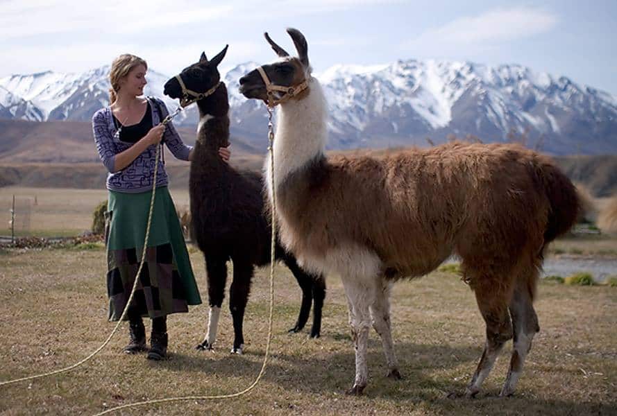 About Journal of Nomads 9 About Journal of Nomads