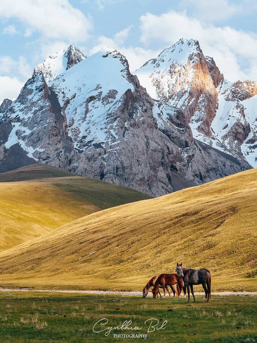 Kyrgyzstan Travel Guide: 20 Useful Things you should know to visit Kyrgyzstan in 2026 14 Kyrgyzstan Travel Guide: 20 Useful Things you should know to visit Kyrgyzstan in 2026