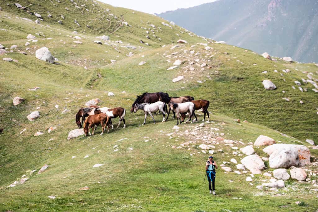 Choktal Valley - Issyk Kul Hikes - Journal of Nomads