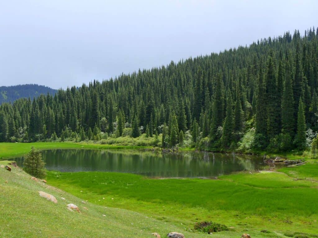 The best things to do around Issyk Kul Lake in Kyrgyzstan: Highlights, Hiking & one-week itinerary