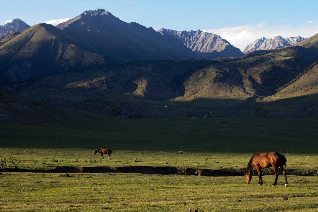 The best things to do around Issyk Kul Lake in Kyrgyzstan: Highlights, Hiking & one-week itinerary