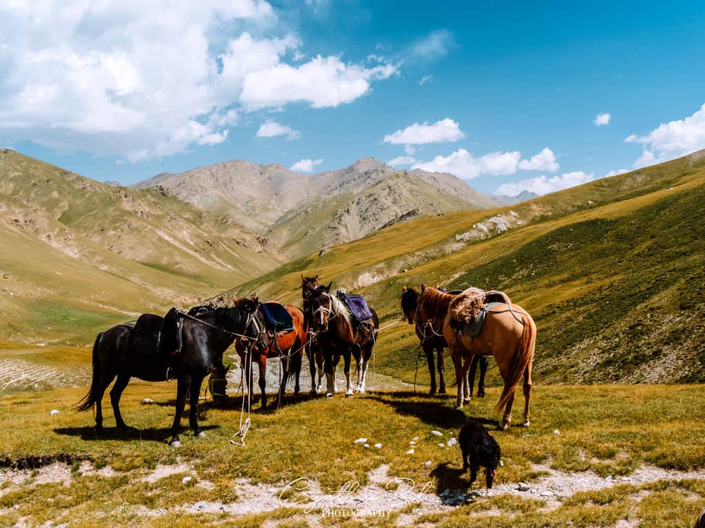Horse riding near Tash Rabat - Panda Pass