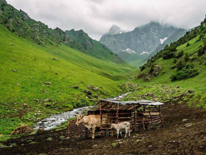 7 Best Hikes in Osh and the Alay Mountains - Hiking Guide