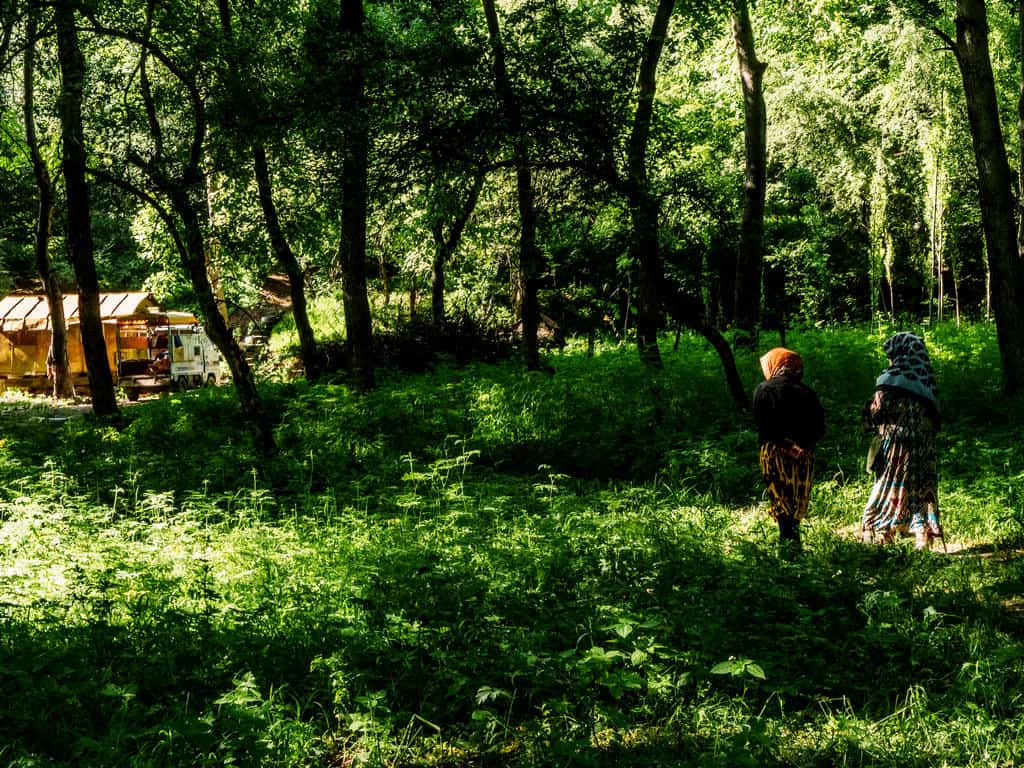 The 25 most beautiful and best places to visit in Kyrgyzstan in 2026 117 Arslanbob Walnut forest Kyrgyzstan