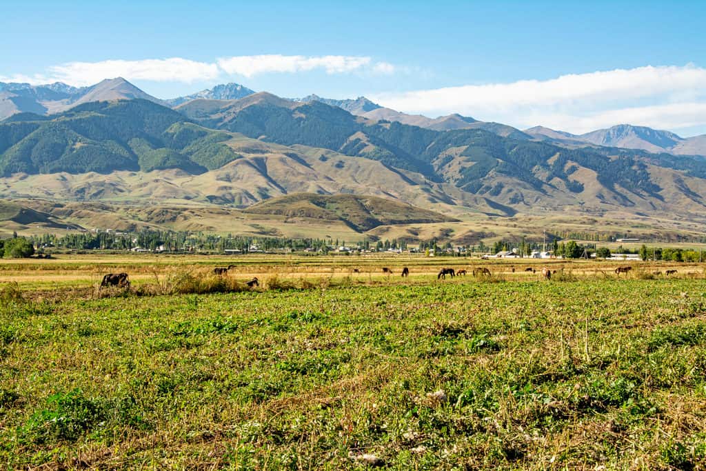 Chon Kemin - Kyrgyzstan Travel - Kyrgyzstan Culture Tour - Journal of Nomads