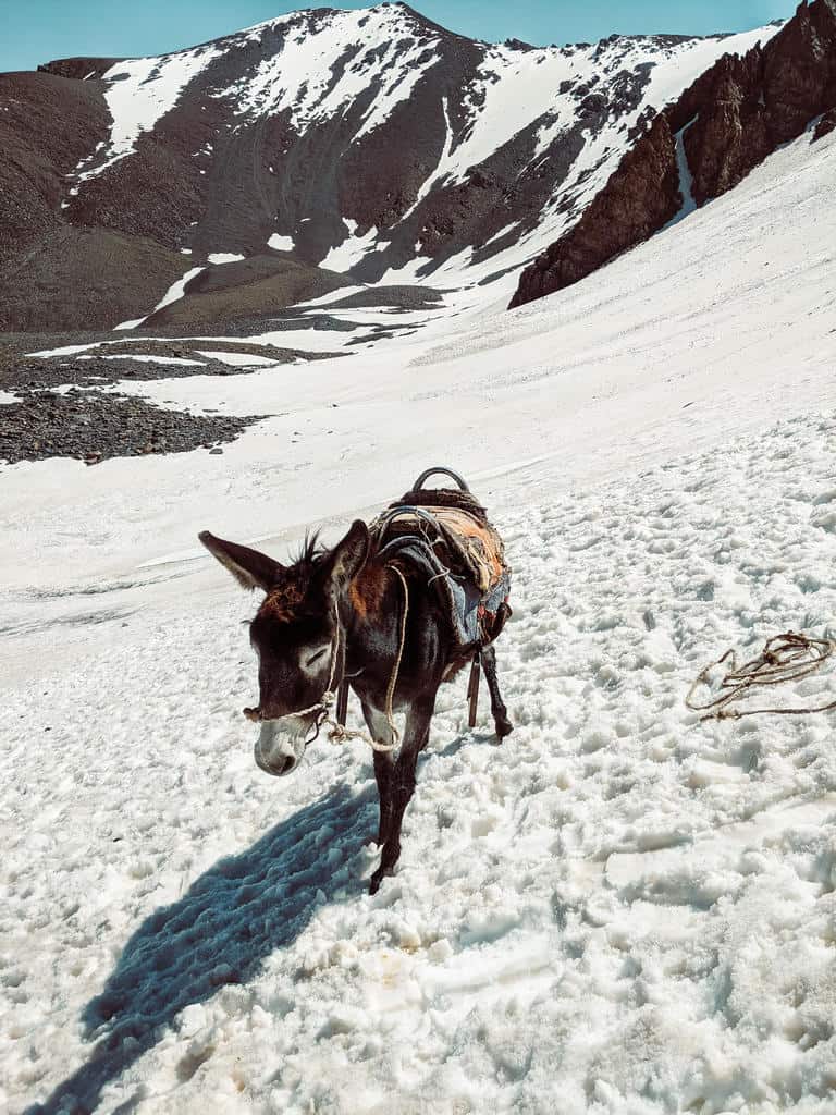 Best of Alay Mountains Trek - Complete 7-Day Hiking Itinerary of one of the best treks in Kyrgyzstan 71 Best of Alay Mountains Trek - Complete 7-Day Hiking Itinerary of one of the best treks in Kyrgyzstan
