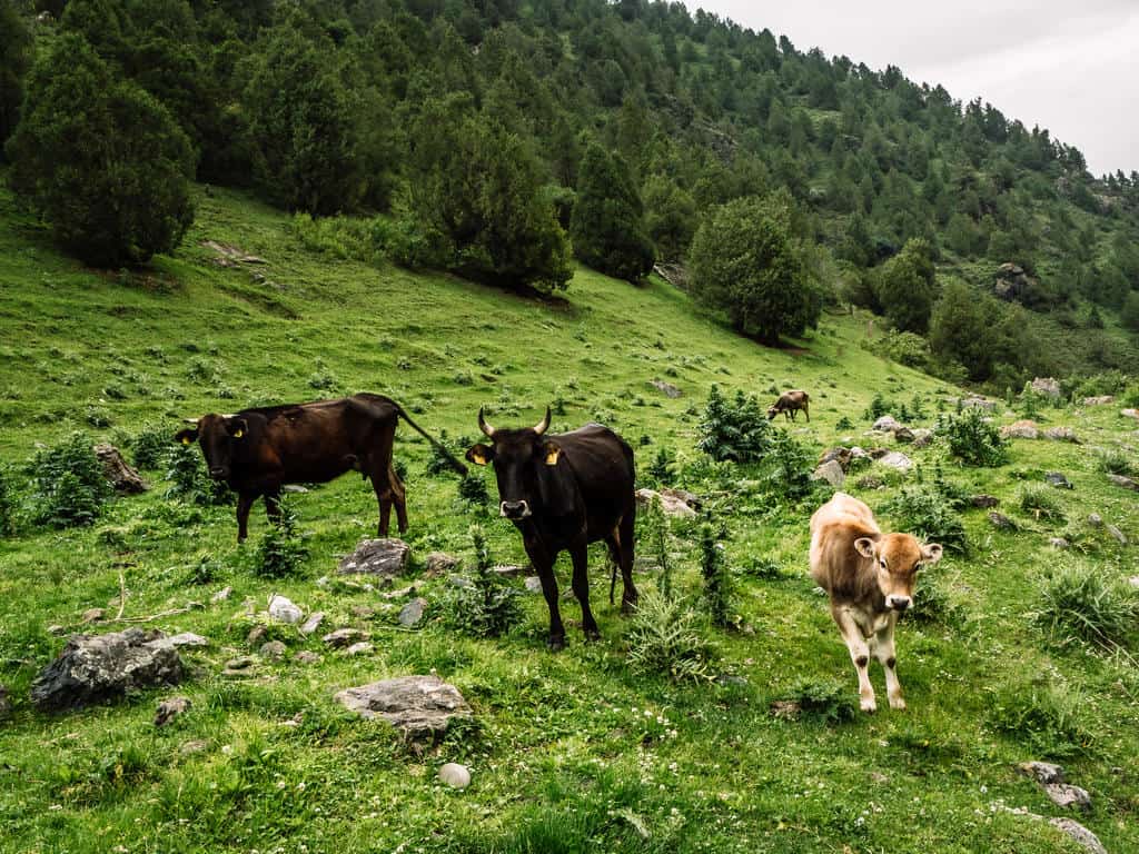 7 Best Hikes in Osh and the Alay Mountains - Hiking Guide