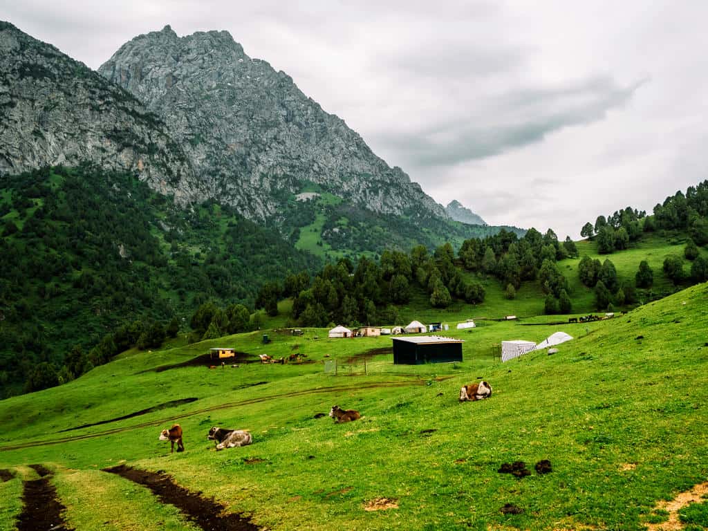 Why Visit Kyrgyzstan: 12 Reasons why I fell in love with this special country in Central Asia 29 Alay Mountains Hikes - Hiking in Kyrgyzstan - Trekking Guide - Journal of Nomads