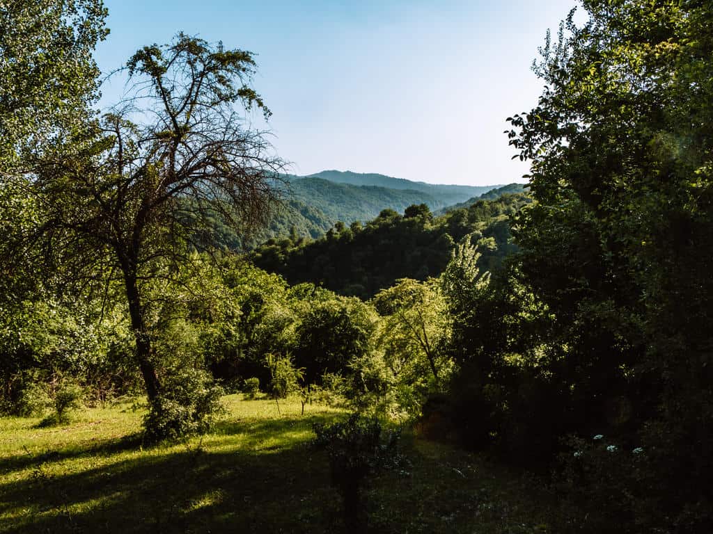 The Complete Travel Guide to Arslanbob: Walnut Forests, Waterfalls, and Outdoor Adventures 21 The Complete Travel Guide to Arslanbob: Walnut Forests, Waterfalls, and Outdoor Adventures
