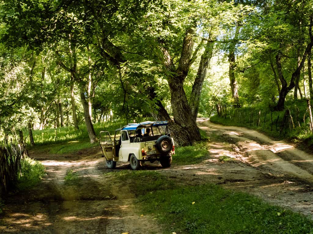 The 14 Best Things to do in Osh Kyrgyzstan -The Complete Osh City Travel Guide 46 The Complete Guide to Arslanbob Walnut forest Kyrgyzstan - Arslanbob Things to do
