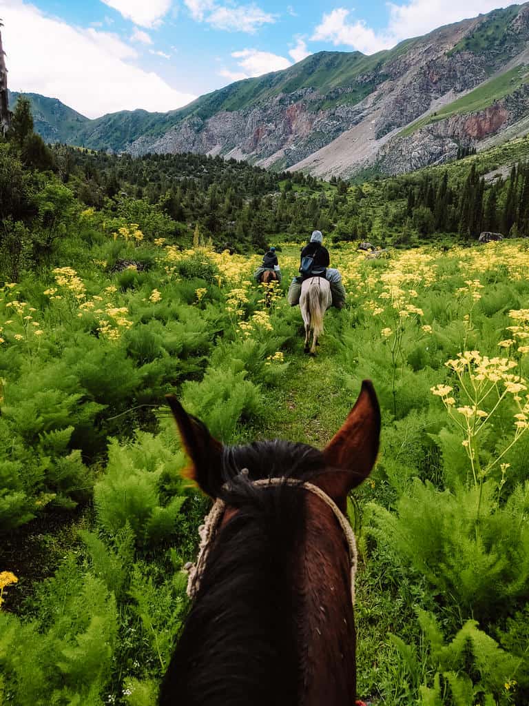 Kyrgyzstan Horse Riding - Sary Chelek Lake Kyrgyzstan - Sary Chelek Travel Guide - Journal of Nomads