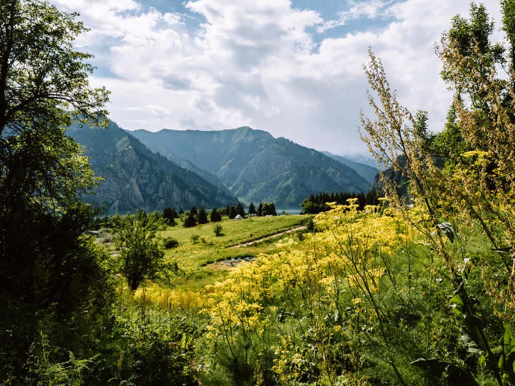 Kyrgyzstan in Spring: Best Places to Visit, Weather & What to Expect (April–June) 5 Sary Chelek Lake Kyrgyzstan - Sary Chelek Travel Guide - Journal of Nomads