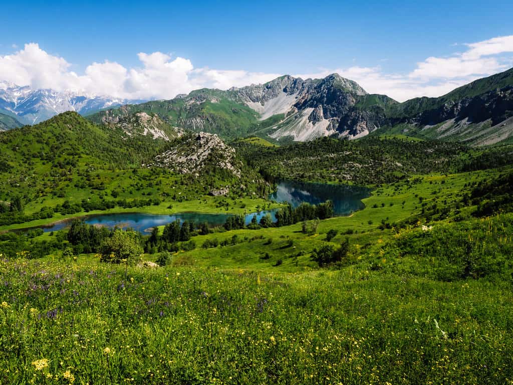 How to visit Sary Chelek lake and Nature Reserve in Kyrgyzstan - The Complete Travel Guide 46 How to visit Sary Chelek lake and Nature Reserve in Kyrgyzstan - The Complete Travel Guide