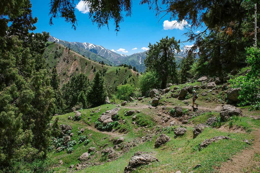 3 Great Day Hikes in the Ugam Chatkal National park in Uzbekistan 10 Hiking in Uzbekistan - Ugam Chatkal National Park