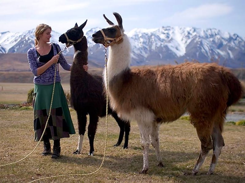 How to travel and volunteer abroad for free - 4 work exchange programs