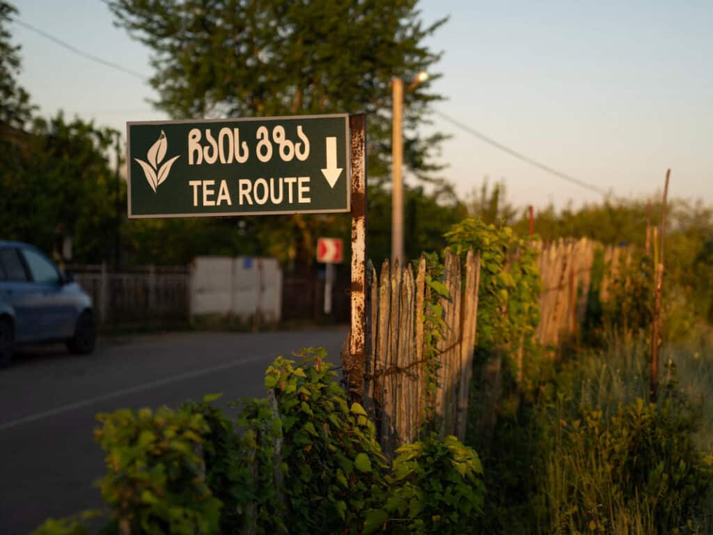 Georgia Tea Guide - Georgian Tea from Past to Present - Journal of Nomads