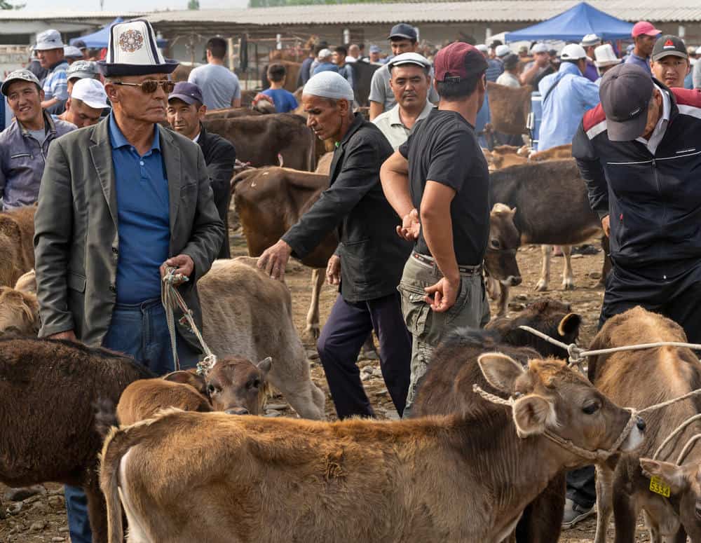The 14 Best Things to do in Osh Kyrgyzstan -The Complete Osh City Travel Guide 36 The 14 Best Things to do in Osh Kyrgyzstan -The Complete Osh City Travel Guide