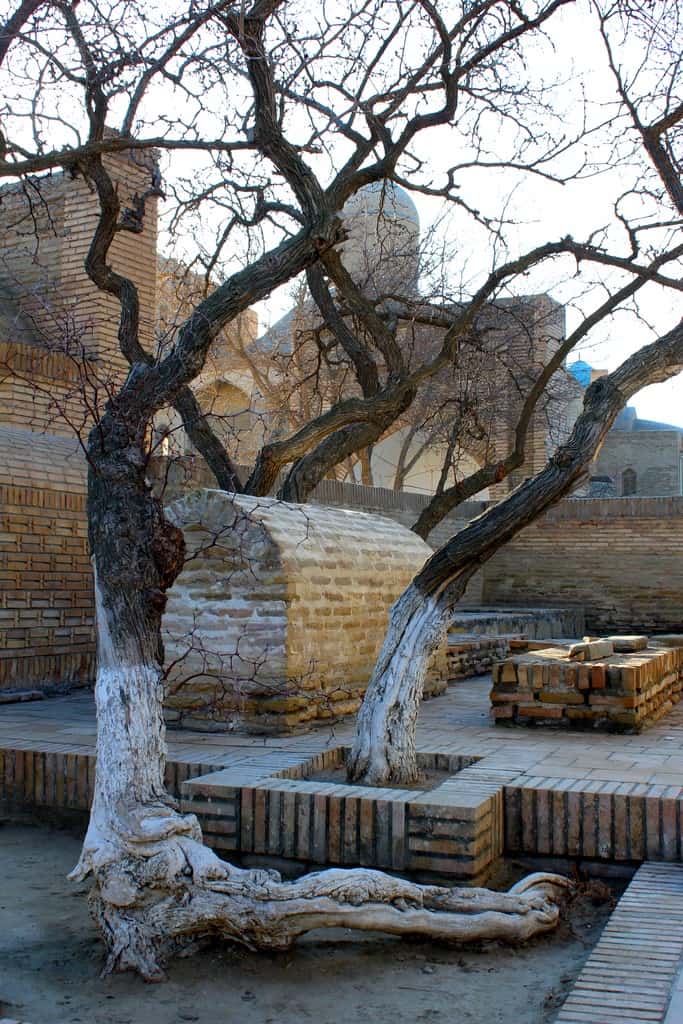 The 20 Best Things to do in Bukhara Uzbekistan - The Complete Bukhara Travel Guide 40 The 20 Best Things to do in Bukhara Uzbekistan - The Complete Bukhara Travel Guide