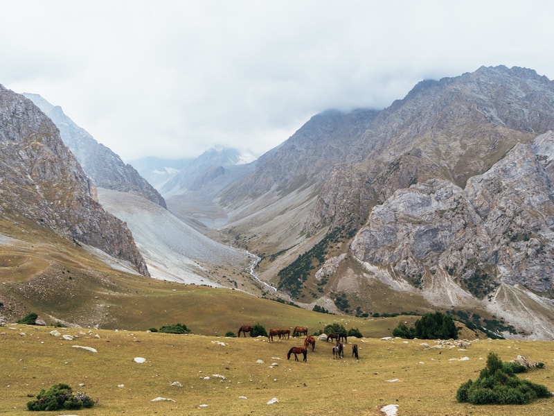 The 14 Best Things to do in Osh Kyrgyzstan -The Complete Osh City Travel Guide 39 Kyrgyz Ata National Park - Things to do in Osh - Day trips from Osh